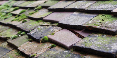 Culham roof repair costs